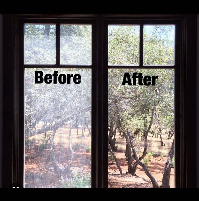 Before and after window cleaning comparison showcasing clear views of nature outside.